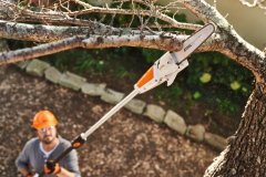 POLE PRUNER