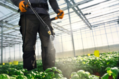 SPRAYERS AND MISTBLOWERS