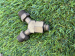 Double Outlet Gas Valve Y Piece