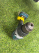 Makita DHP458Z 18v Combi Drill LXT 91Nm Ex Fleet Makita DHP458Z 18v Combi Drill LXT 91Nm Ex Fleet