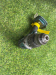 Makita DHP458Z 18v Combi Drill LXT 91Nm Ex Fleet Makita DHP458Z 18v Combi Drill LXT 91Nm Ex Fleet